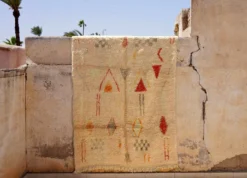 escape Classic Boujad Rug 17 escape Classic Boujad Rug