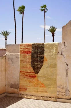 escape Modern Boujad Rug 18 escape Modern Boujad Rug