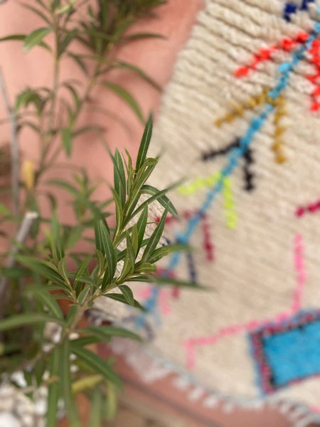 escape Ourika Rug S3 4 escape Ourika Rug S3