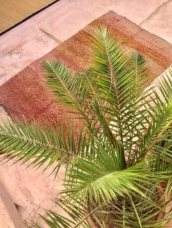 escape Ochre & Pink Boujad Rug 14 escape Ochre & Pink Boujad Rug