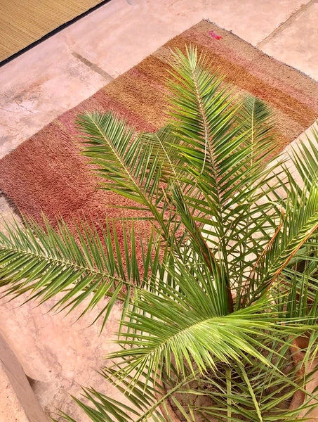 escape Ochre & Pink Boujad Rug 5 escape Ochre & Pink Boujad Rug